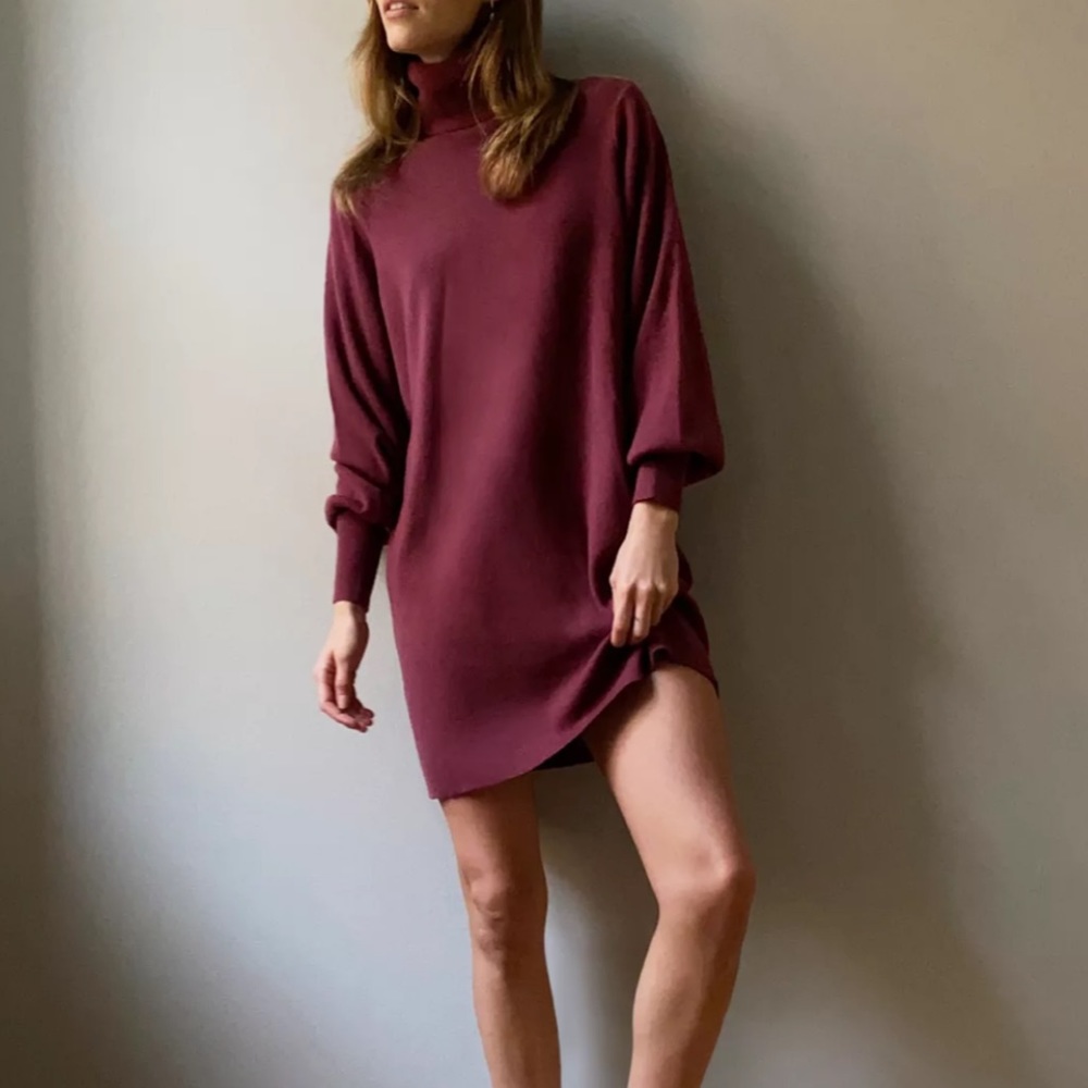 Aritzia Wilfred Rebecca Frosted Plum Purple Knit Turtleneck Long Sleeve Dress - Picture 1 of 13